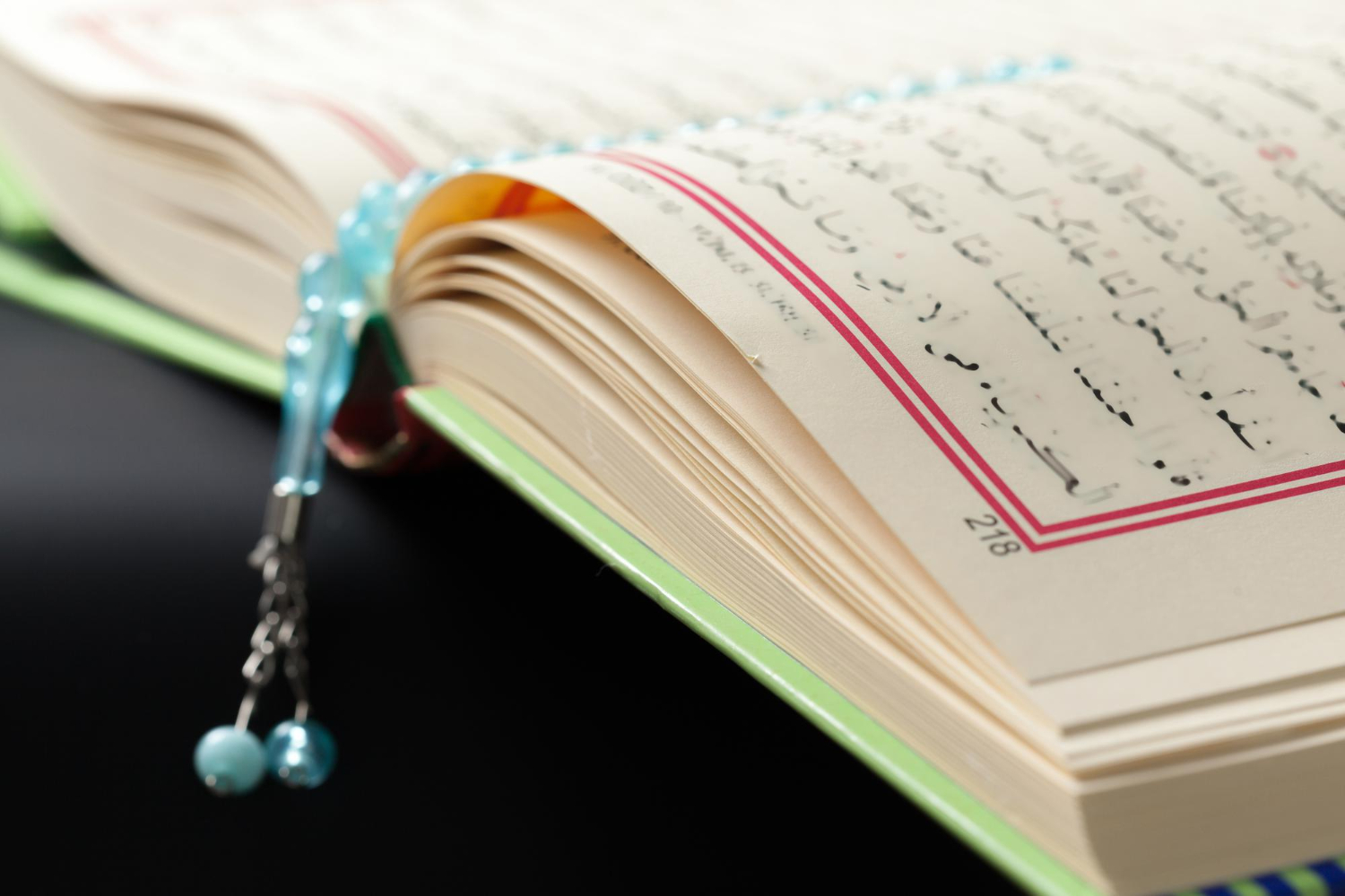 Arabic Language